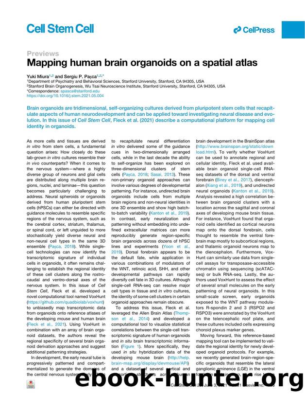Mapping human brain organoids on a spatial atlas by Yuki Miura & Sergiu P. Pașca