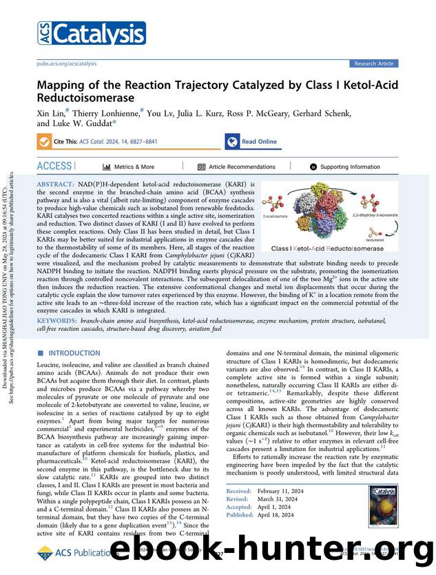 Mapping of the Reaction Trajectory Catalyzed by Class I Ketol-Acid Reductoisomerase by Xin Lin Thierry Lonhienne You Lv Julia L. Kurz Ross P. McGeary Gerhard Schenk & Luke W. Guddat