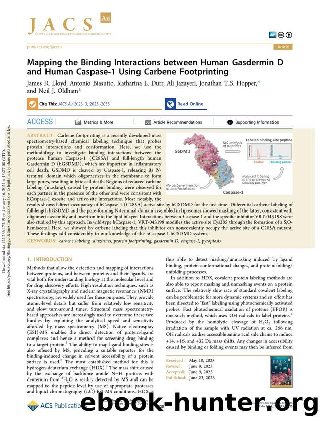 Mapping the Binding Interactions between Human Gasdermin D and Human Caspase-1 Using Carbene Footprinting by unknow