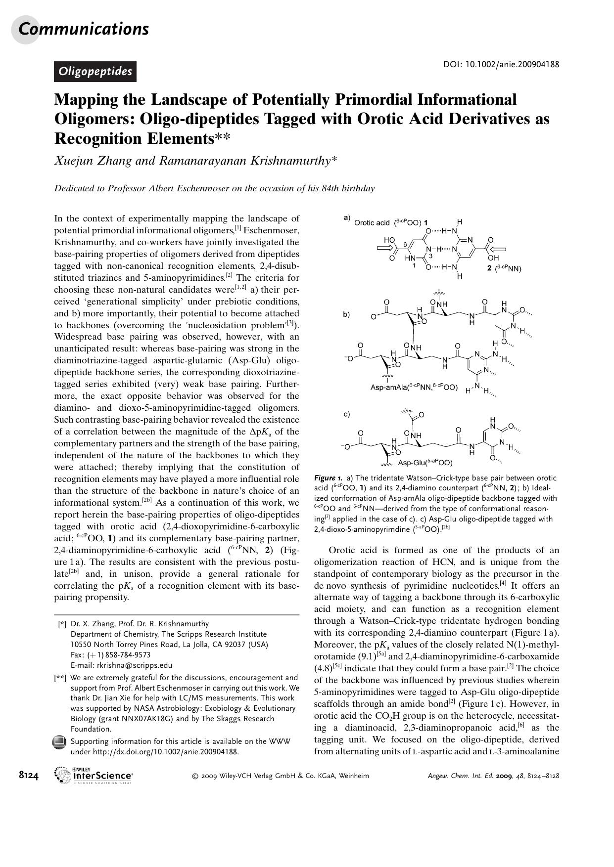 Mapping the Landscape of Potentially Primordial Informational Oligomers: Oligo-dipeptides Tagged with Orotic Acid Derivatives as Recognition Elements by Unknown