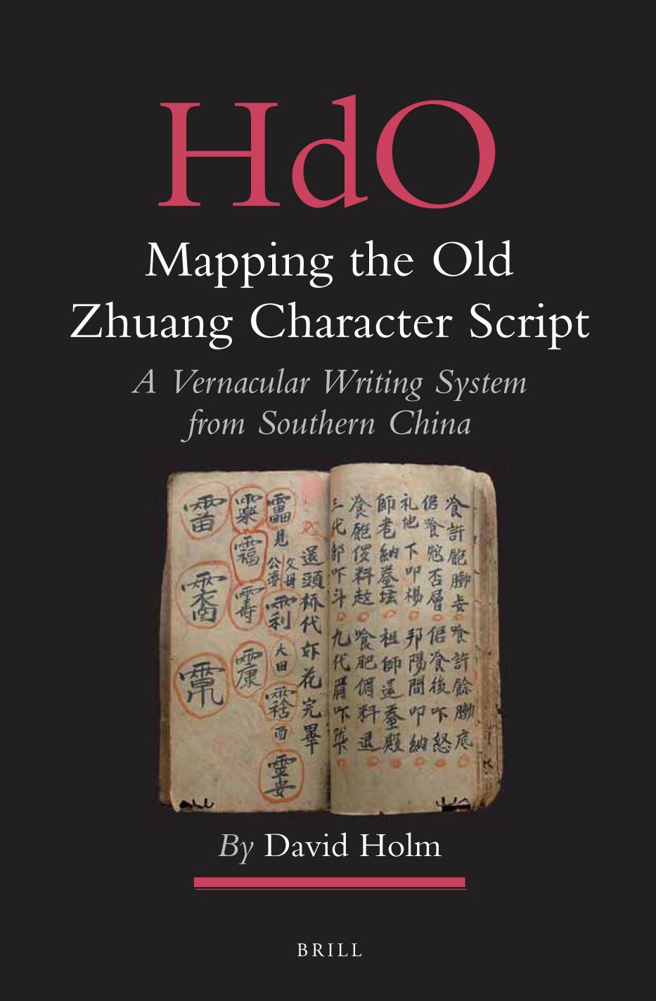 Mapping the Old Zhuang Character Script: A Vernacular Writing System from Southern China by David Holm