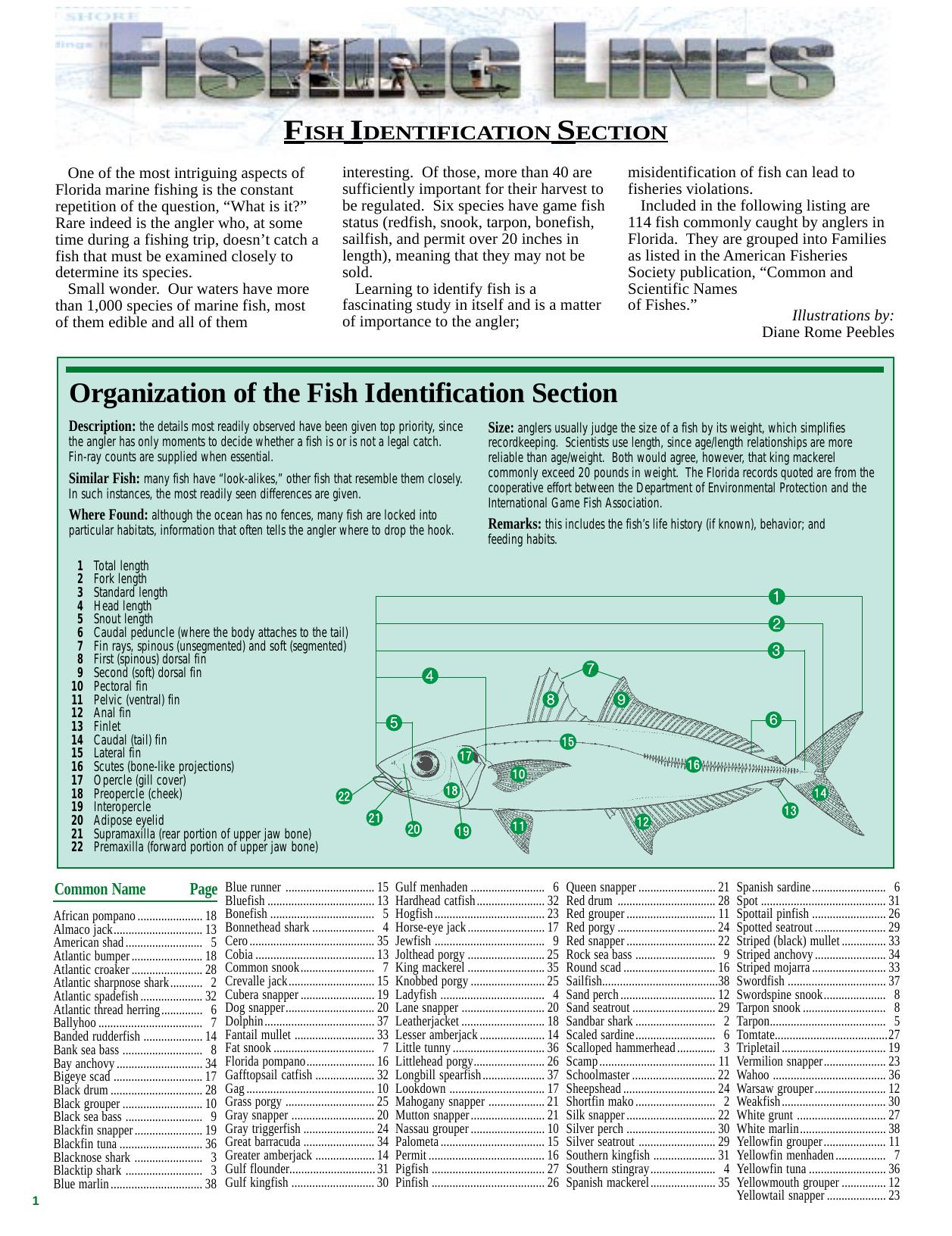 Mar.Fisheries 411 TO MAKE PDF by G4
