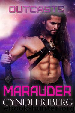 Marauder by Cyndi Friberg