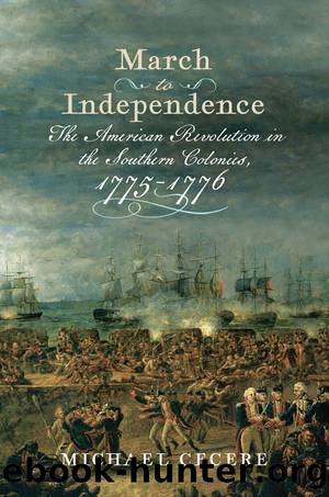 March to Independence by Michael Cecere
