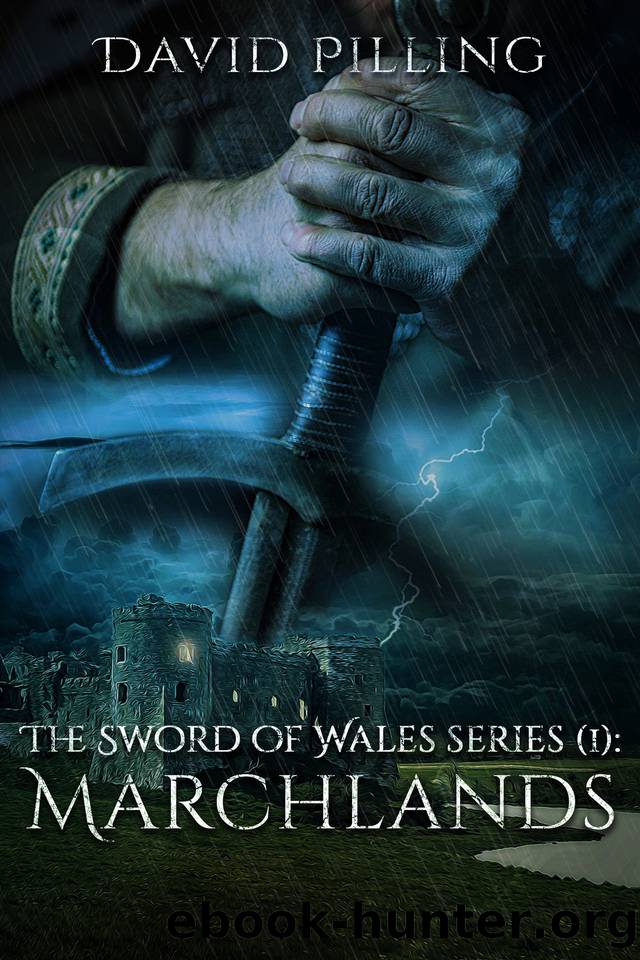 Marchlands (The Sword of Wales Book One) by David Pilling