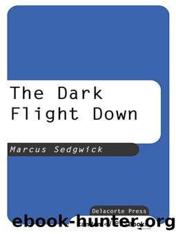 Marcus Sedgwick by The Dark Flight Down