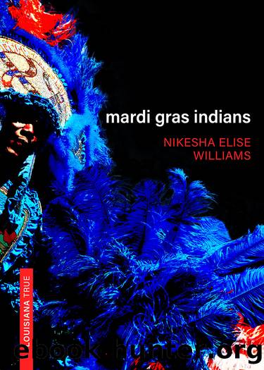 Mardi Gras Indians by Nikesha Williams
