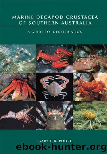 Marine Decapod Crustacea of Southern Australia by Gary C. B. Poore