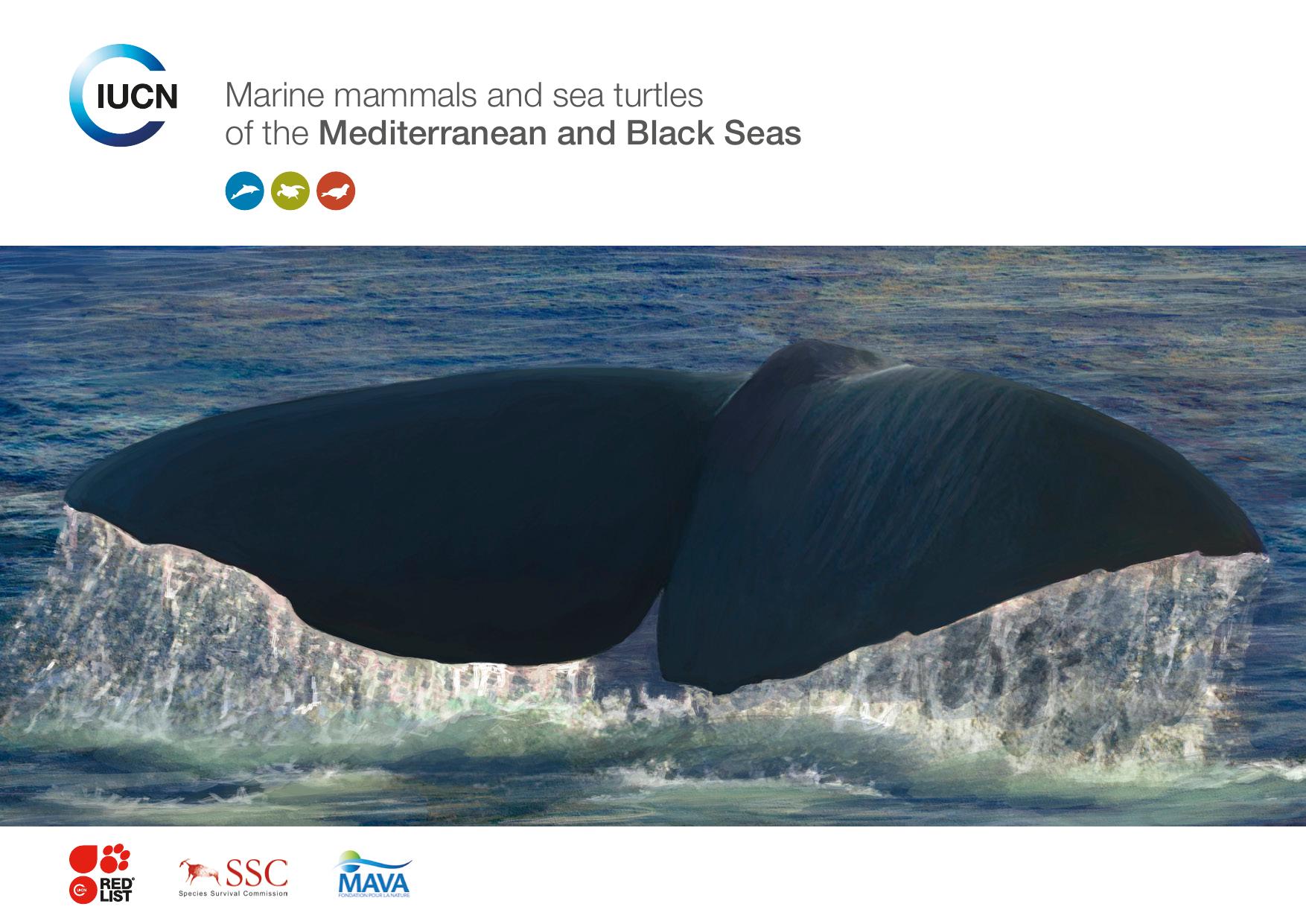 Marine mammals and sea turtles of the Mediterranean and Black Seas by Otero M. Conigliaro M