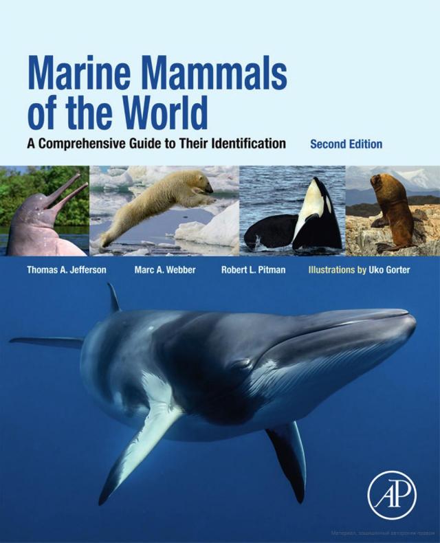 Marine mammals of the world. A comprehensive guide to their identification by Thomas A. Jefferson; Uko Gorter; Robert L. Pitman; Marc A. Webber