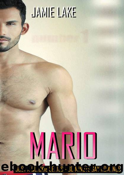 Mario (LETTERS TO A GENTLEMAN Book 1) by Jamie Lake