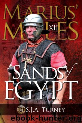 Marius' Mules XII by S.J.A. Turney