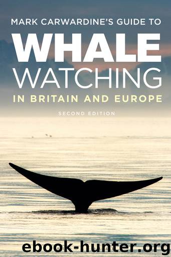 Mark Carwardine's Guide To Whale Watching in Britain and Europe by Mark Carwardine