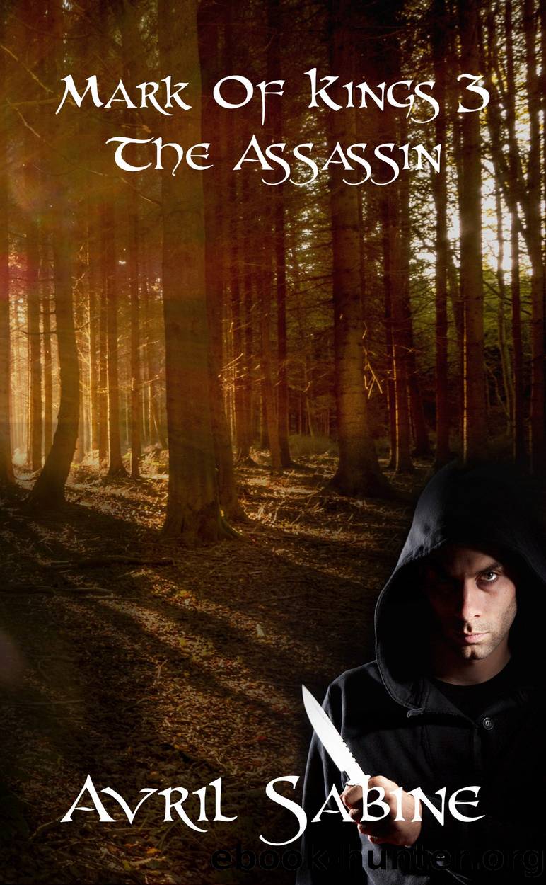 Mark Of Kings 3: The Assassin by Avril Sabine