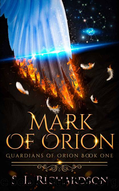 Mark of Orion by S L Richardson