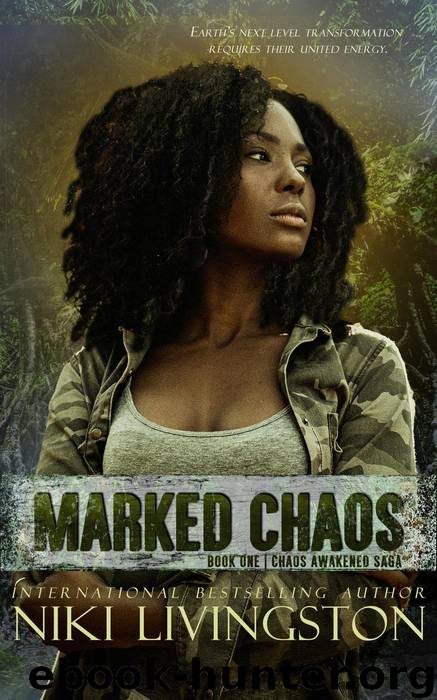 Marked Chaos by Niki Livingston