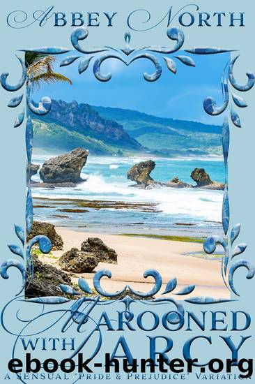 Marooned With Darcy: A Pride & Prejudice Variation by Abbey North