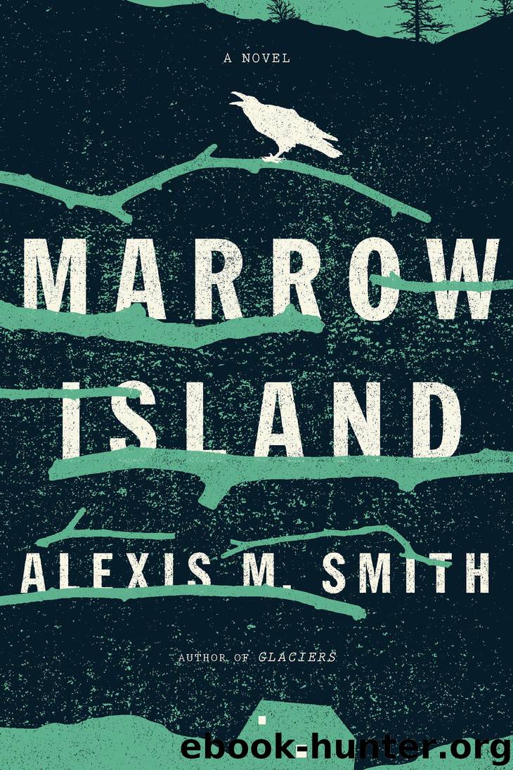 Marrow Island by Alexis M. Smith