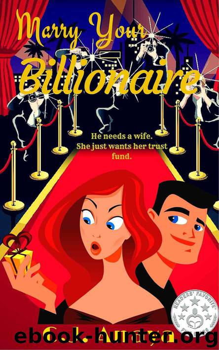 Marry Your Billionaire: A Modern Cinderella by C. J. Anaya