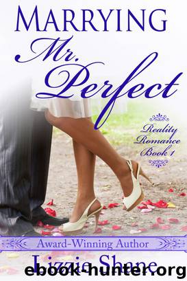 Marrying Mister Perfect by Lizzie Shane