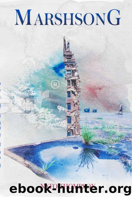 Marshsong by Nato Thompson