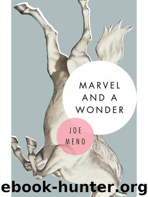 Marvel and a Wonder by Meno Joe