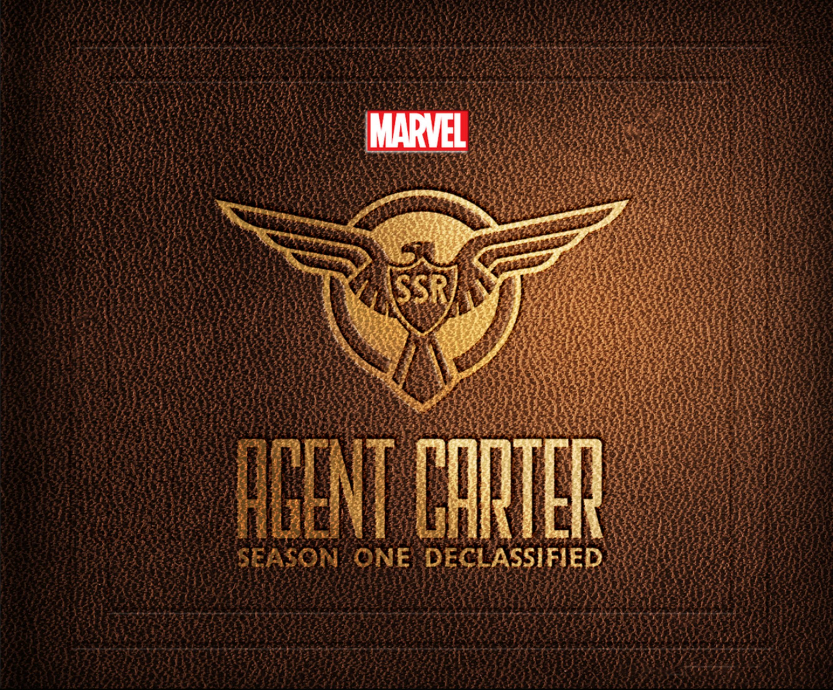 Marvel's Agent Carter Season One Declassified by Unknown