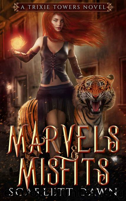 Marvels and Misfits by Scarlett Dawn