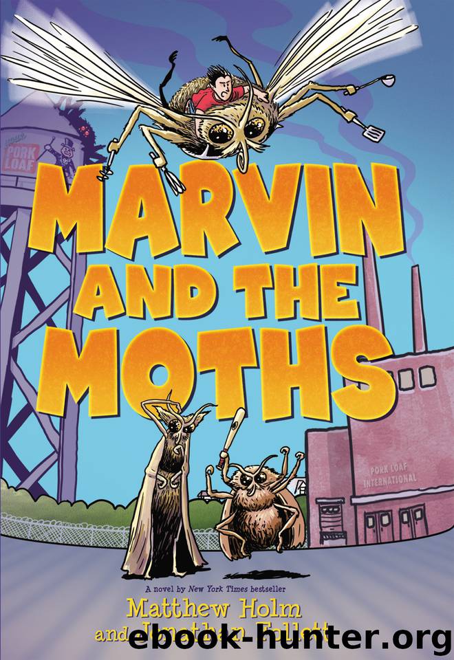 Marvin and the Moths by Jonathan Follett