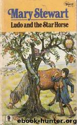Mary Stewart by Ludo;the Star Horse