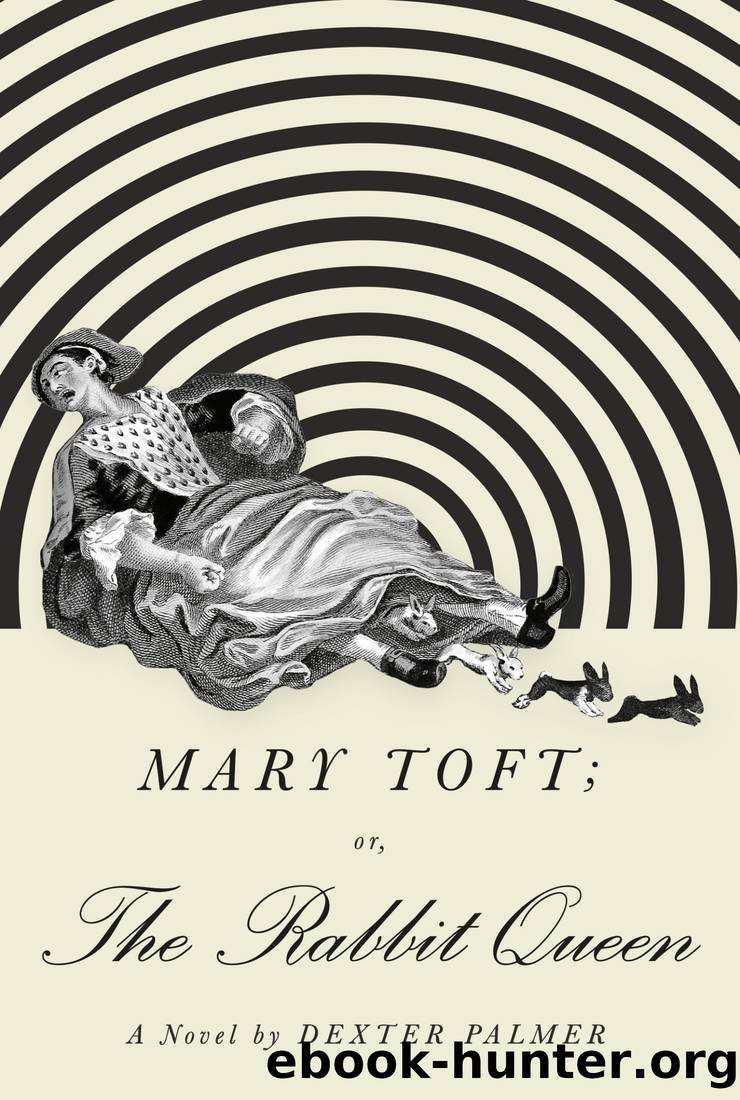 Mary Toft; Or, the Rabbit Queen by Dexter Palmer