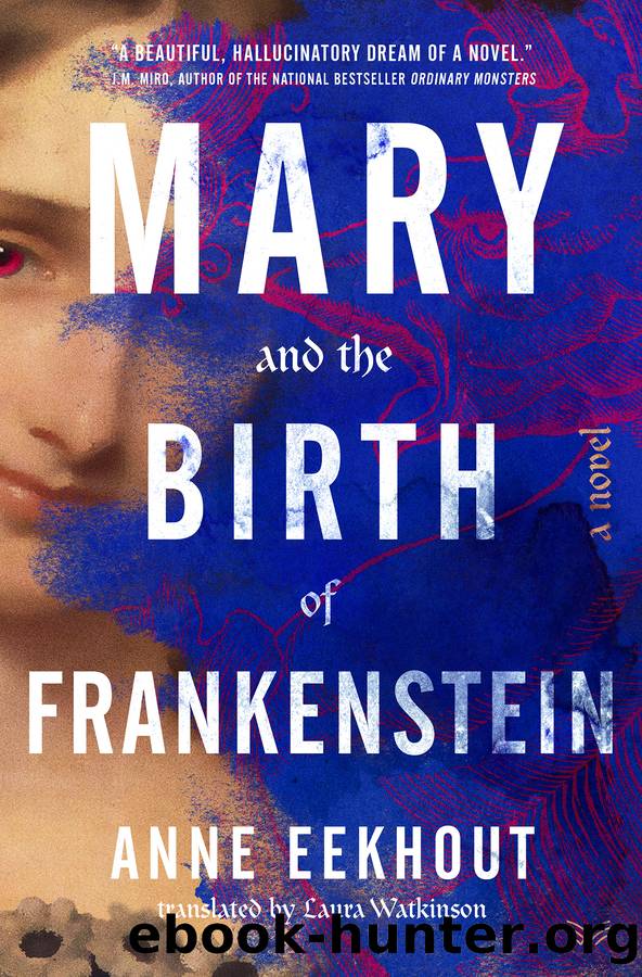 Mary and the Birth of Frankenstein by Anne Eekhout