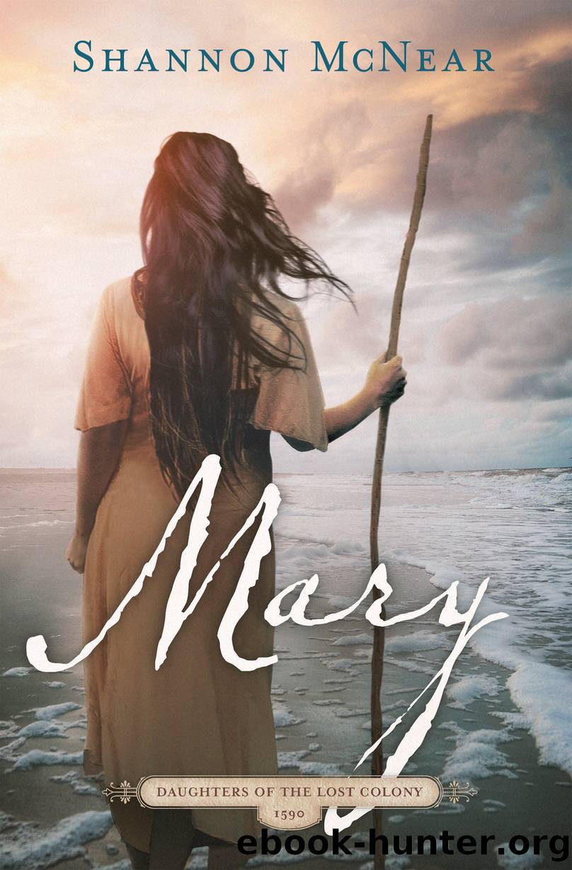 Mary by Shannon McNear