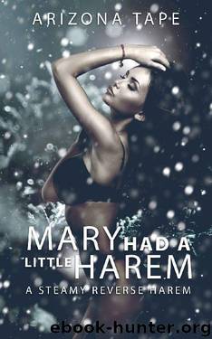 Mary had a little harem by Arizona Tape
