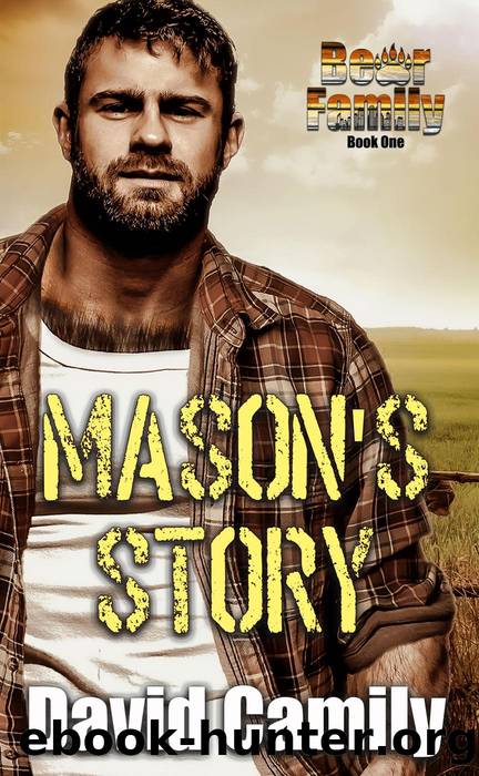 Mason's Story by David Camily