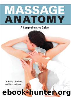 Massage Anatomy by Abigail Ellsworth