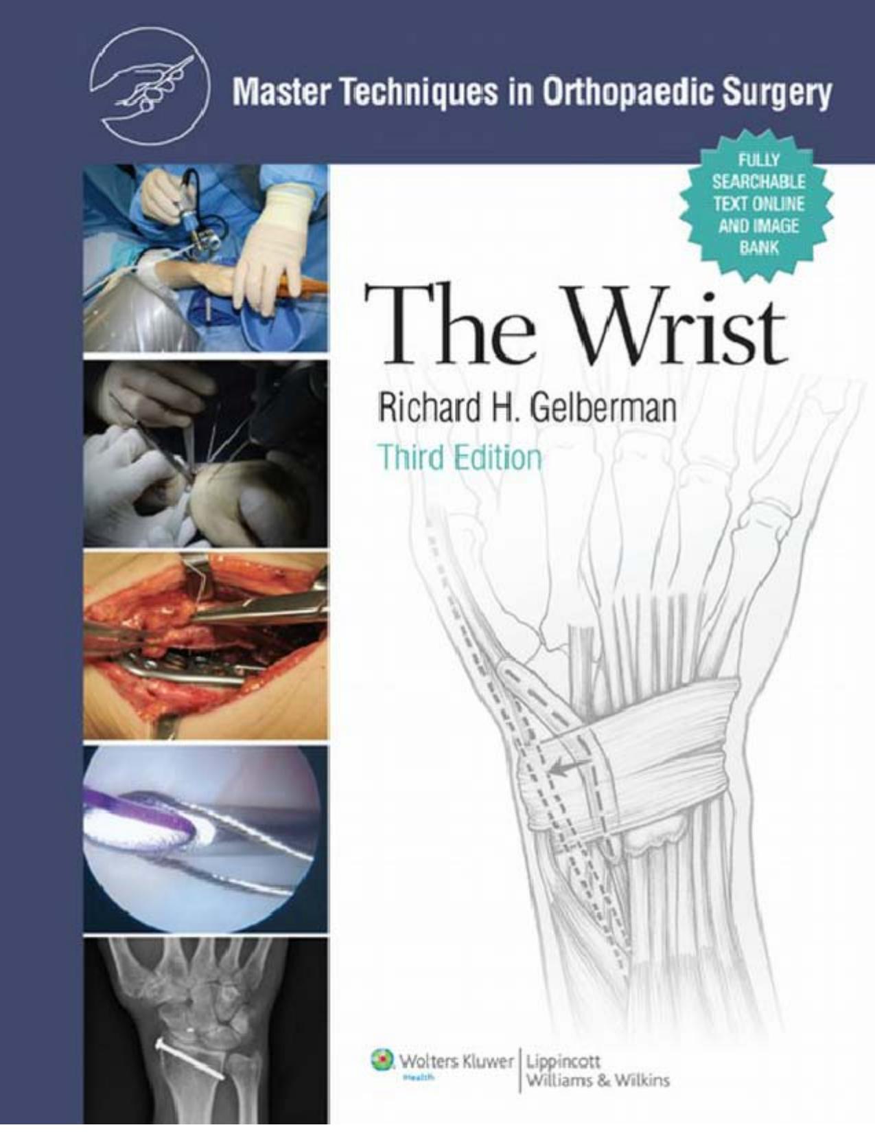 Master Techniques in Orthopaedic Surgery: The Wrist by Richard H. Gelberman MD