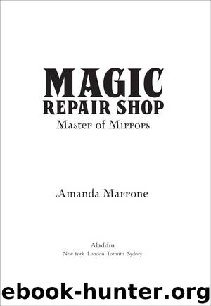 Master of Mirrors by Amanda Marrone
