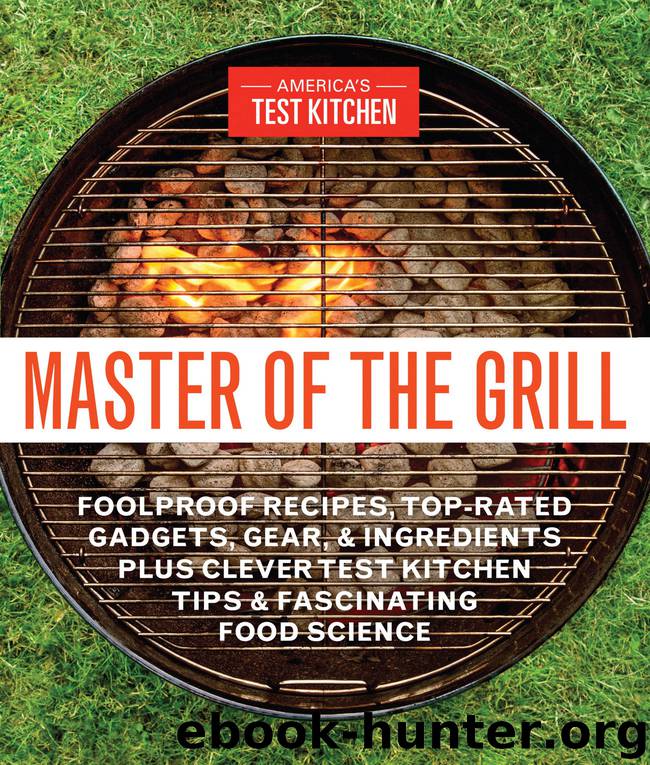 Master of the Grill by America's Test Kitchen