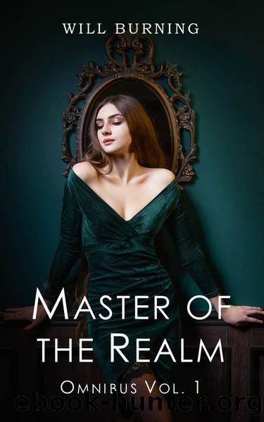 Master of the Realm: Omnibus Vol. 1 by Burning Will & Villam R.D