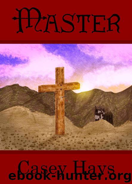 Master: Arrow's Flight #3 by Hays Casey