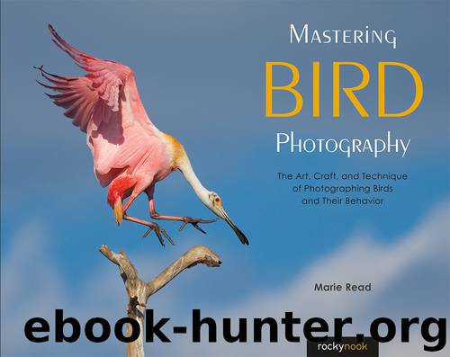 Mastering Bird Photography by Marie Read
