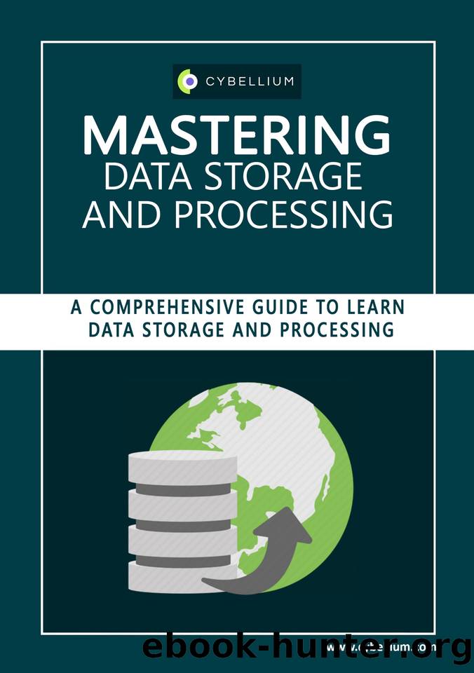 Mastering Data Storage and Processing: A Comprehensive Guide to Learn Data Storage and Processing by Hermans Kris & Ltd Cybellium