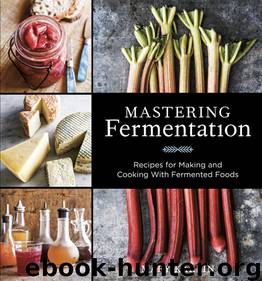 Mastering Fermentation by Mary Karlin