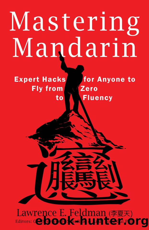 Mastering Mandarin: Expert Hacks for Expats or Anyone to Fly from Zero to Fluency with Maximum Efficiency by Lawrence E. Feldman (李夏天）