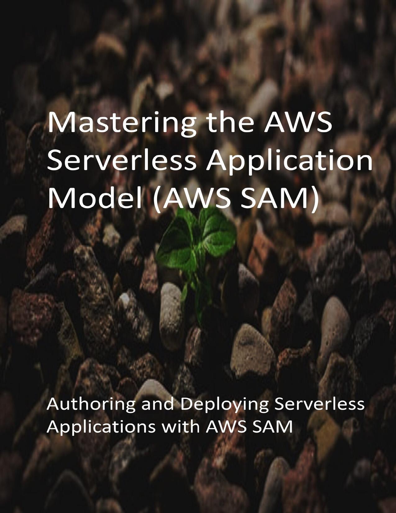 Mastering the AWS Serverless Application Model (AWS SAM): Authoring and Deploying Serverless Applications with AWS SAM by Puldigi Ronilen Publications
