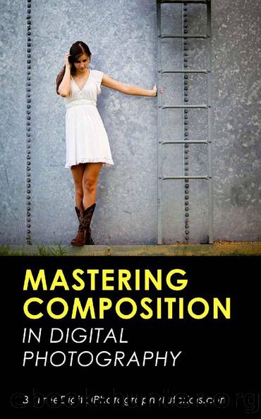 Mastering the Art of Photography Composition: Learn Tips and Tricks for Better Creative Photos for Beginners and Intermediate Photographers by David Jones