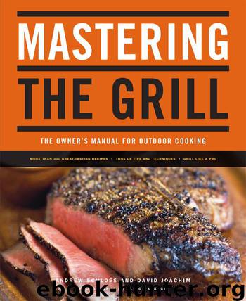 Mastering the Grill by Andrew Schloss; David Joachim