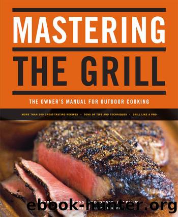 Mastering the Grill: The Owner's Manual for Outdoor Cooking by Andrew Schloss & David Joachim & Alison Miksch