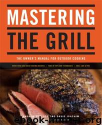 Mastering the Grill: The Owner's Manual for Outdoor Cooking by Andrew Schloss & David Joachim